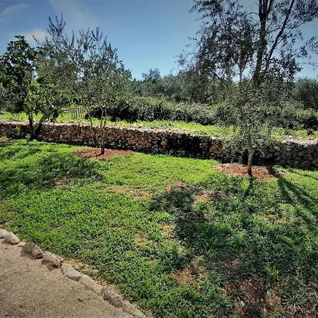 بيت للعطل House Vela Vrta Sveti Ivan Dobrinjski