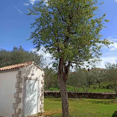 بيت للعطل House Vela Vrta Sveti Ivan Dobrinjski